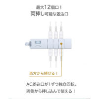 延長コード 電源タップ 12個口 1.8m 2P式 回転 USBポート付 ファーゴ ベージュウッド PT60112BEWD 1個