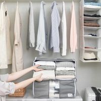 出し入れ簡単 がばっと 収納袋2 M クローゼットに最適 1個 東和産業