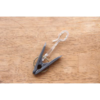 洗濯バサミ 伸縮ランドリーラック専用 取付けピンチ 1パック（10個入） アイセン