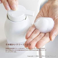 プリスベイス ウィル ディスペンサー 泡 ブラウン 250ml 1個 オカ