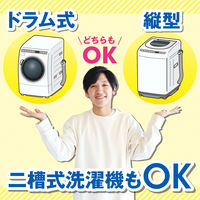 激落ちくん 泡立つ洗濯槽クリーナー 1回分 120g 1個 レック