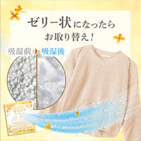 ドライ&ドライUP 除湿剤 引き出し・衣装ケース用 金木犀の香り 12シート入 1個 白元アース