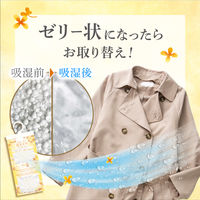 ドライ&ドライUP 除湿剤 クローゼット・洋服ダンス用 金木犀の香り 4シート入 1個 白元アース