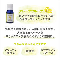 デイリーディライト エッセンシャルオイル はじめての精油3本セット 各3mL グローバルプロダクトプランニング