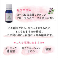 デイリーディライト エッセンシャルオイル 香りの楽しみ広がる精油3本セット 各3mL グローバルプロダクトプランニング