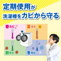 激落ちくん 泡立つ洗濯槽クリーナー 1回分 120g 1セット（3個） レック