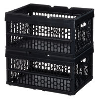 「現場のチカラ」 ハンドル付 折りたたみメッシュコンテナ 30L BK 1個  オリジナル