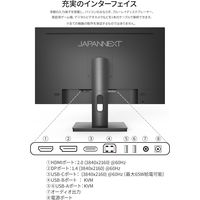 JAPANNEXT 27インチ4Kワイド液晶モニター USB Type-C対応 JN-IPS273UHDR-C65W 1台