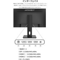 JAPANNEXT 27インチワイド液晶モニター 画面回転機能/上下昇降機能搭載 JN-27IPS4FLWQHDR-HSP 1台