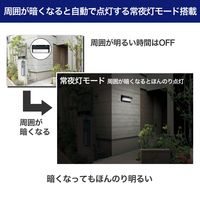 朝日電器 二重構造ウォールライト 大型 ESL-KN400SL 1個