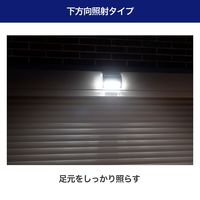 朝日電器 ステンレスウォールライト 薄型 ESL-KS101SL 1個