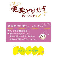 日東紅茶 果実とけだすティーバッグ はちみつレモンティー 1セット（12バッグ：4バッグ入×3袋）