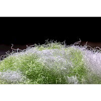 サンコー トイレブラシ 1個 水だけで汚れが落とせる特殊繊維 傷がつきにくい スリム グリーン びっくりフレッシュ BF-49