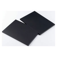 ライオン事務器 ポスター用クリアーブック A2サイズ 10ポケット ブラック 142-62 1冊