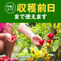 殺虫剤 殺菌剤 カメムシ駆除 アースガーデン 野菜うまし エコパック 850mL パウチ 園芸 家庭菜園 ガーデニング 対策 虫よけ 1個 アース製薬