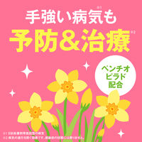 殺虫剤 殺菌剤 パウチ アースガーデン 花いとし エコパック 850mL 園芸 殺虫殺菌 家庭菜園 ガーデニング 花 観葉植物 対策 1個 アース製薬