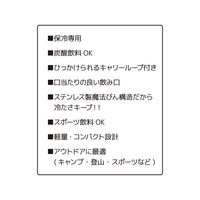 サーモス 保冷炭酸飲料ボトル 500ml クリアステンレス RBAA-500 CS1セット（3個）