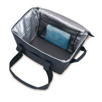 サーモス 保冷買い物カゴ用バッグ 25L ナイトグレー RFG-025 N-GY1セット（3個）