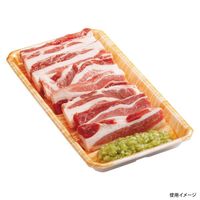 中央化学 発泡トレー DAT 27-15 木肌OR 391433 1ケース(600個(50個×12))（直送品）