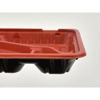 中央化学 弁当容器 CTガチ弁IK24-20C2RBS身 134676 1ケース(800個(50個×（直送品）