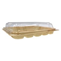 中央化学 フードパック パノラックV 20-16 男鹿 144725 1ケース(900個(50個×（直送品）