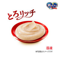 銀のスプーン 無添加 とろリッチ 3種のお魚味アソート 国産 108g キャットフード 猫 ウェット おやつ