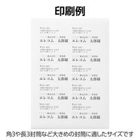 エレコム ラベルシール 表示･宛名ラベル プリンタ兼用 マット紙 A4 10面 1袋 (100シート) 白 EDT-ECNL10ZP