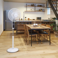 アピックスインターナショナル ACフロアー扇風機ホワイト AFL-255R 1台