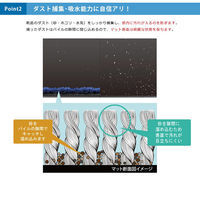 クリーンテックス・ジャパン wash+dry 薄型で丈夫な洗える玄関マット Lapas 50 x 75 cm AB00465 1枚（直送品）