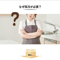 【アウトレット】サイエルインターナショナル 保冷米びつ ライスクーラー31kg SLI-RC31 1台