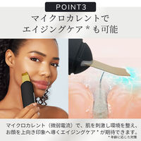 GESKE マイクロカレント スキンスクライバー & ブラックヘッドリムーバー GK000044GY01 1個