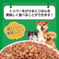 いなば 角切りビーフ 犬 ビーフ（10g×6袋）1袋 ドッグフード おやつ