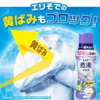 レノア 超消臭 煮沸レベル消臭 抗菌ビーズ 消臭+防カビ クリーンフレッシュ 詰め替え 特大 1040mL 1個 抗菌 P＆G