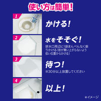 強力カビハイター 排水口そうじこれだけ 1箱（3袋入） 花王