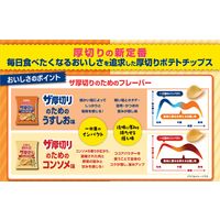 ポテトチップス ザ厚切りのためのうすしお味 1セット（1袋×12） カルビー スナック菓子 おつまみ