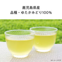 伊藤園 2024年 お～いお茶 新茶 茶葉 1セット（1袋（80g入）×2）