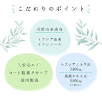 【アウトレット】再値下げ ナップルサラシア粒ナチュラル 60粒1袋 ロート製薬