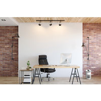 BONECO コンパクト空気清浄機 P230 1台