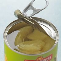 サンスクイーズ グレープフルーツ 411g 1個 オーバーシーズ 缶詰 フルーツ缶