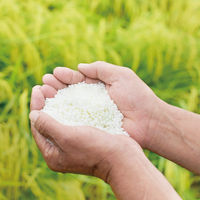 大関 辛丹波 にごり 辛口 720ml 1ケース（6本） 日本酒 濁り酒