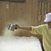 越乃八豊 純米酒 越後の辛口 720ml 1本 越後酒造場 新潟県 日本酒