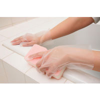 【使いきりポリエチレン手袋】 宇都宮製作株式会社 クイン バイオマスPE 100枚入 L LPE0192SE-TBL 1箱