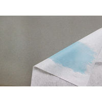 イトマン 防水ロールシーツ100cm×100m 80050003 1セット(1本×2)