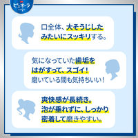 【大容量】 薬用ピュオーラ 歯磨き粉 フレッシュカシス 虫歯・口臭・歯肉炎予防 170g 1本 花王