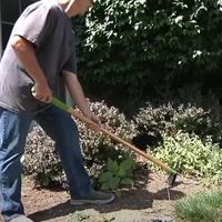 エスコ 297x67x1010mm スタンド型雑草抜き EA650AB-28 1本（直送品）