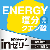inゼリー（インゼリー）エネルギーレモン 栄養補助ゼリー 1セット（1個×30） 森永製菓