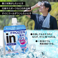 inゼリー（インゼリー） エネルギーフローズン 塩分プラス ライチ味  1セット（1個（180g）×12） クエン酸 森永製菓