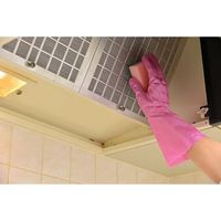 【ビニール手袋】 ショーワグローブ ナイスハンドするっとタッチ S ルビーピンク NHST-SP 1双