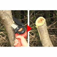 ファミリー・ライフ NEW充電式コードレス2WAY高枝チェーンソー 8点セット+予備バッテリー 04287 1個