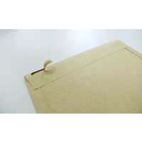 川上産業 かみプチ封筒 L 間口340mm×深さ250mm×フラップ50mm×厚み3mm 開封テープ付き 1箱（200枚入）